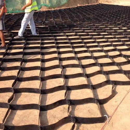 广西百色田阳三维土工网垫厂家 集团实业公司格室的创新与应用