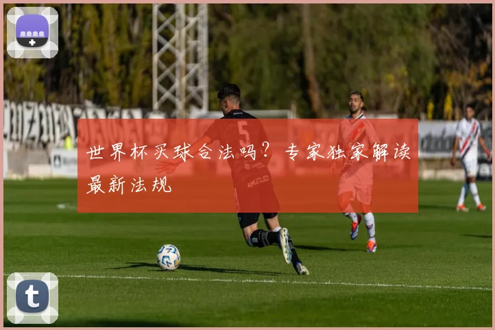 世界杯买球合法吗？专家独家解读最新法规