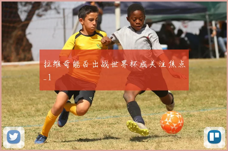 拉维奇能否出战世界杯成关注焦点_1