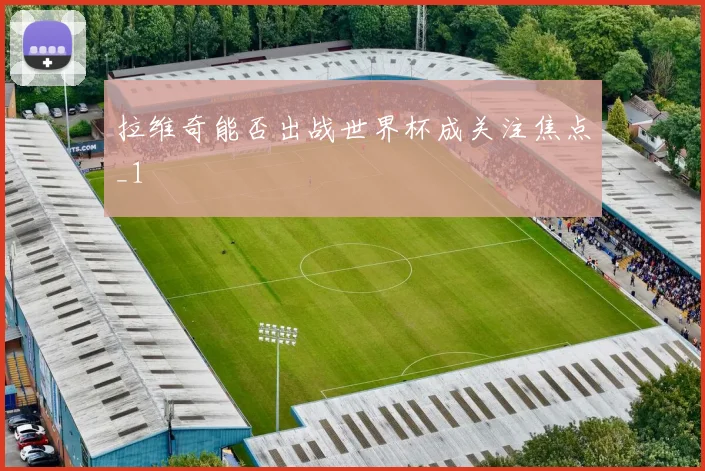 拉维奇能否出战世界杯成关注焦点_1