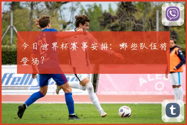 今日世界杯赛事安排:哪些队伍将登场?