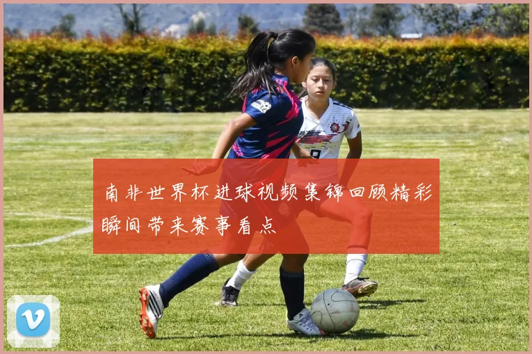 南非世界杯进球视频集锦回顾精彩瞬间带来赛事看点