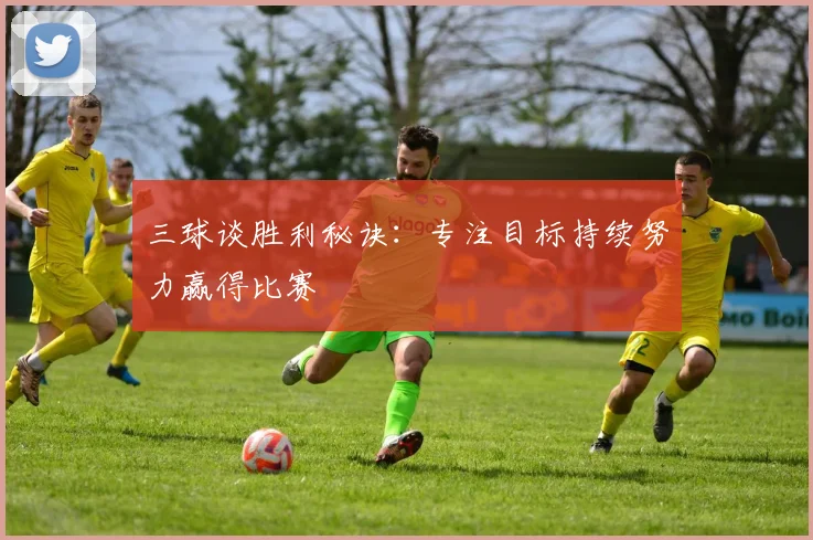 三球谈胜利秘诀:专注目标持续努力赢得比赛