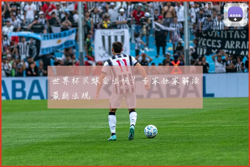 世界杯买球合法吗？专家独家解读最新法规