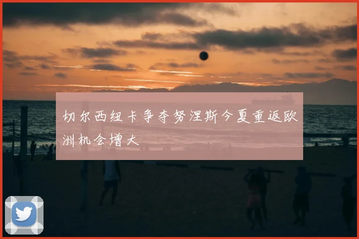 切尔西纽卡争夺努涅斯今夏重返欧洲机会增大