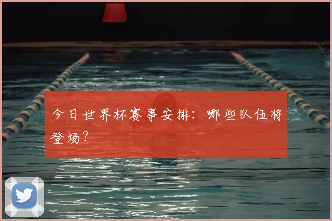 今日世界杯赛事安排:哪些队伍将登场?