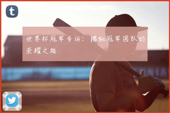 世界杯冠军专访：揭秘冠军团队的荣耀之路