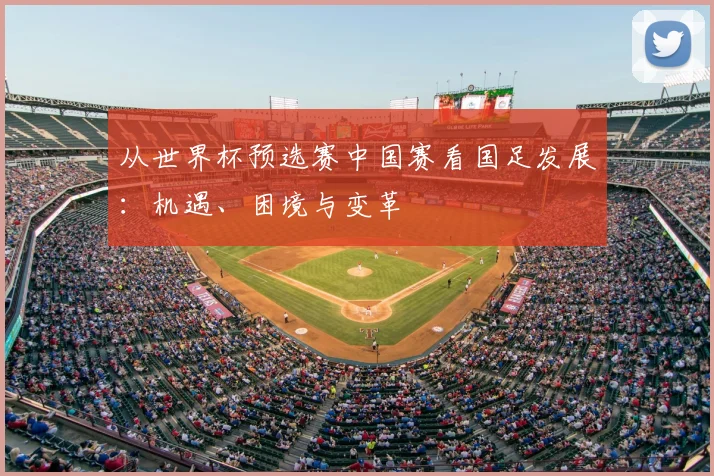 从世界杯预选赛中国赛看国足发展：机遇、困境与变革