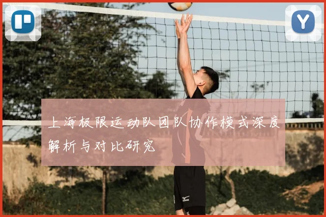 上海极限运动队团队协作模式深度解析与对比研究