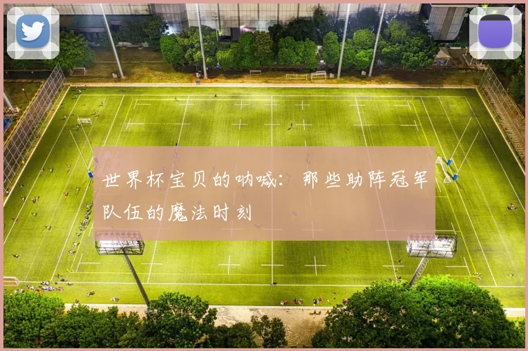 世界杯宝贝的呐喊：那些助阵冠军队伍的魔法时刻