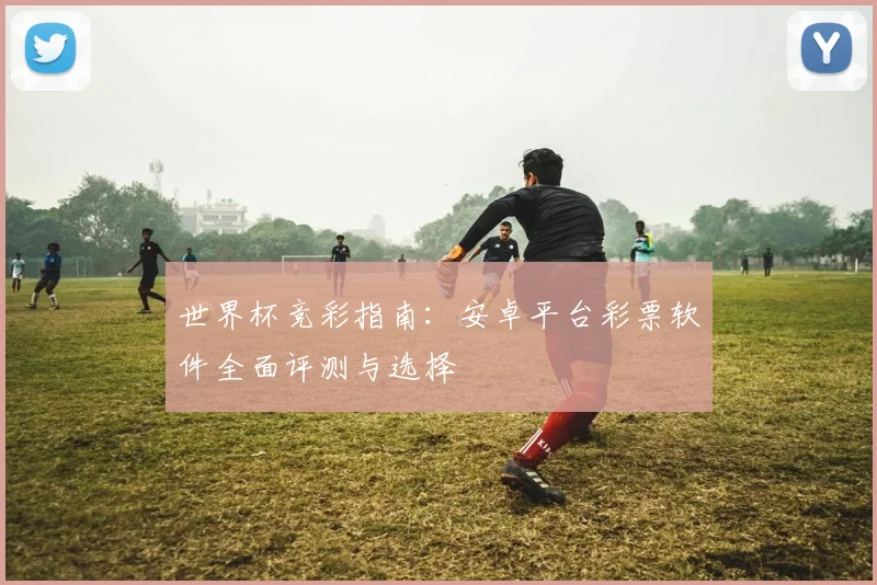 世界杯竞彩指南：安卓平台彩票软件全面评测与选择